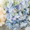 Order Flowers College Stati... - Florist in College Station, TX