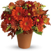 Mothers Day Flowers Westerv... - Westerville Flower Market