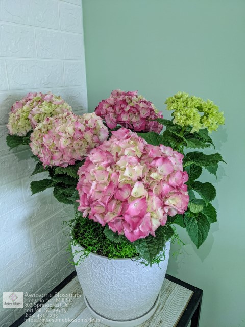 Sympathy Flowers Fort Mill SC Fort Mill Flower Market