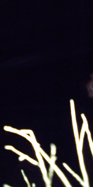 IMG 20211015 201006 2 myname@example.com