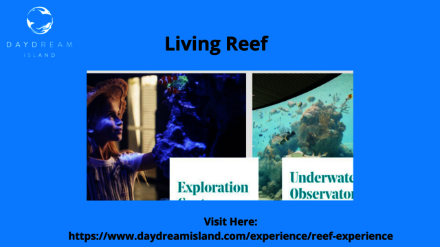 Living-Reef day resorts