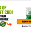 Dragons Den CBD Gummies Uk ... - Picture Box