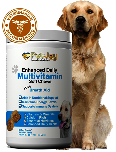 multi-with-dog.sillo PetJoy Multi-Vitamin Best Nutritious Supplement for Pets!