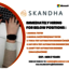 skandha careers - Best Employment Hiring & Recruitment services in India | Microsoft Partner