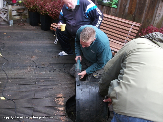 Aanplant Japanse Sierkers 13-11-21 (8) In de tuin 2022