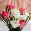 Flower Shop in Greenville SC - Florist in Greenville