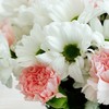 Greenville SC Flower Delivery - Florist in Greenville