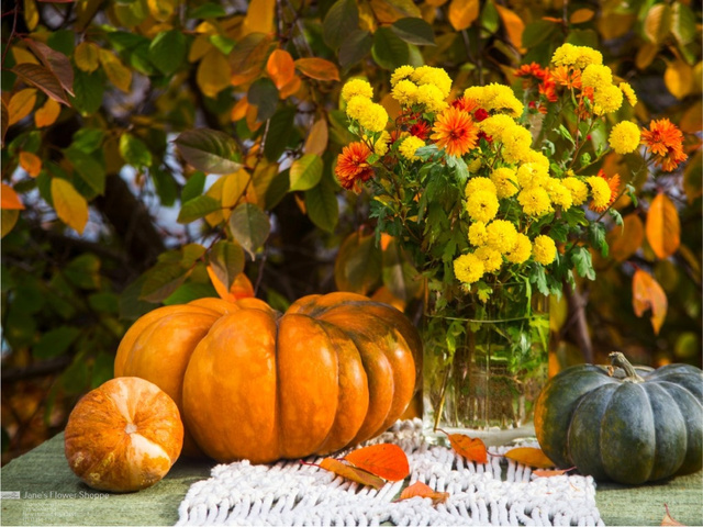 New Holland Thanksgiving 8 Flower Arrangements