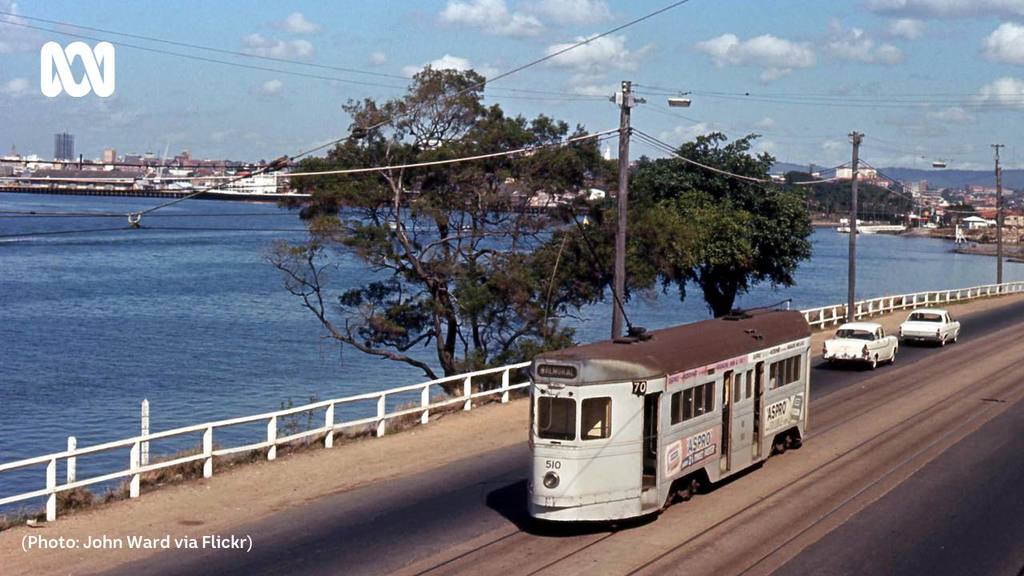 248448066 10160122555374669 2950534324184737797 n - 