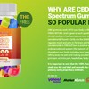 golly cover - Golly CBD Gummies