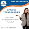 Apponix Technologies - Picture Box