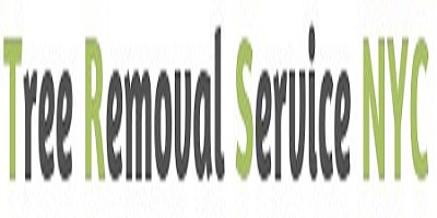 2 Tree Removal Service Bronx