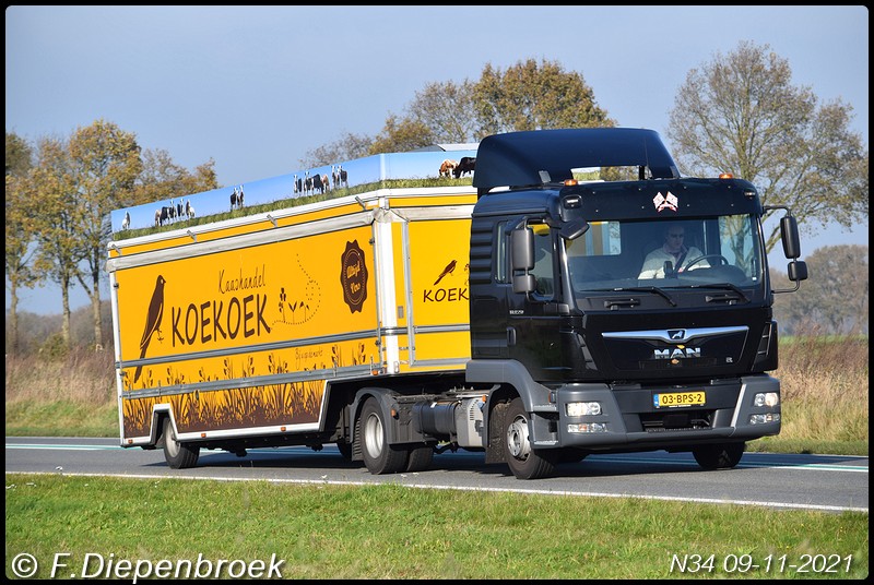 03-BPS-2 MAN TGL Kaashandel Koekoek-BorderMaker - Rijdende auto's 2021
