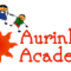 Aurinko Academy