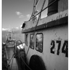 Comox Docks 2021 15 - Black & White and Sepia