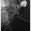 Comox Docks 2021 12 - Black & White and Sepia