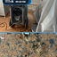 EXmoldRemediationServices3 - Mold Remediation in Cutler Ridge FL - Hippo Carpet Cleaning Cutler Ridge