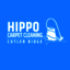 Profile - Mold Remediation in Cutler Ridge FL - Hippo Carpet Cleaning Cutler Ridge