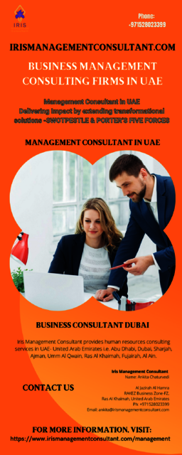 Business Consultant in Dubai Picture Box
