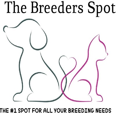 thebreedersspot Dog Collars