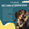 ditecareof seniordogs - Picture Box