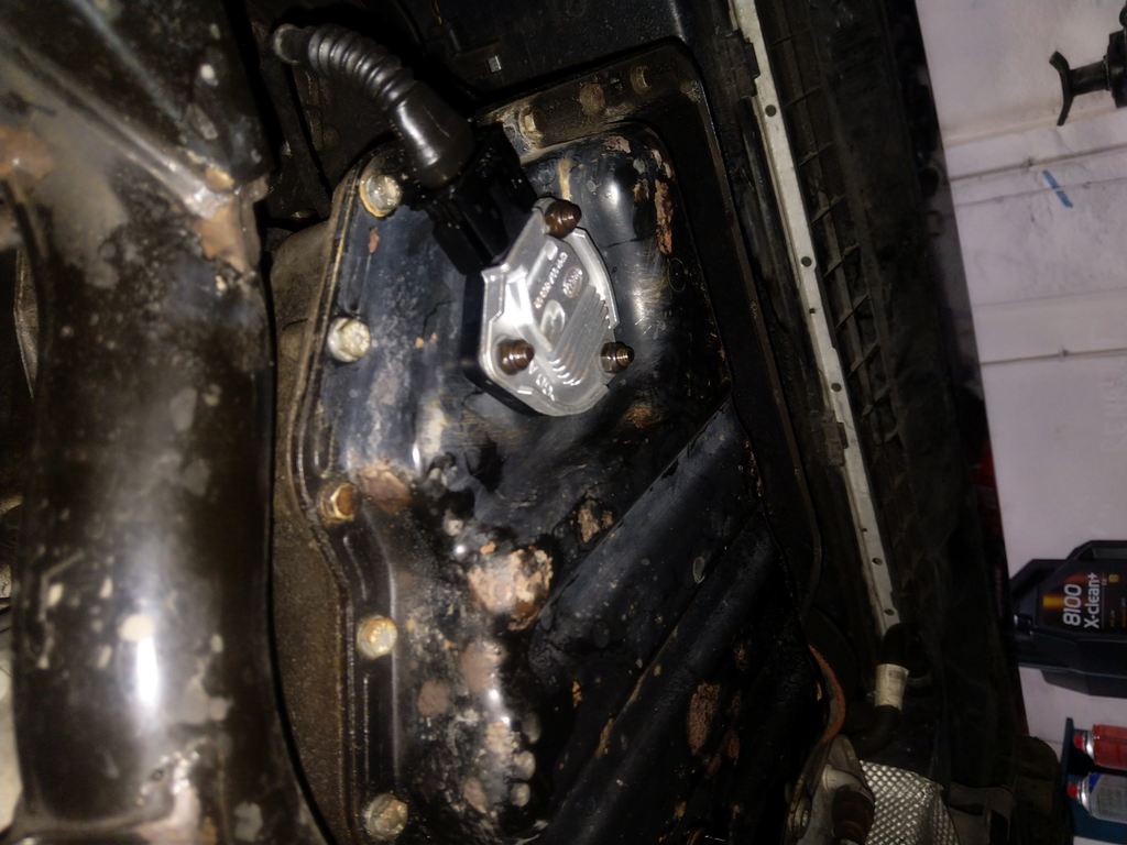 IMG 20210629 210521 - Smoczyca