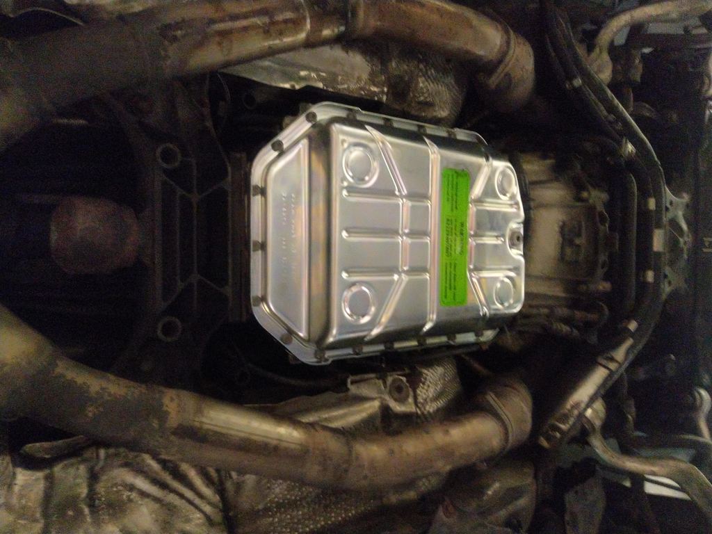 IMG 20210730 215222 - Smoczyca