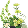 Same Day Flower Delivery Mi... - Florist in Milton, FL