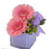 Buy Flowers Milton FL - Florist in Milton, FL