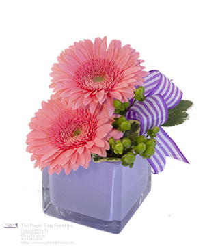 Buy Flowers Milton FL Florist in Milton, FL