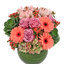 Flower Delivery in Milton FL - Florist in Milton, FL