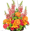 Flower Shop Milton FL - Florist in Milton, FL