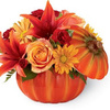 Flower Shop in Waterbury CT - Florist in Waterbury, CT