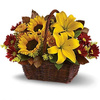 Exton PA Flower Delivery - Florist in Exton, PA