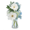 Flower Delivery Exton PA - Florist in Exton, PA