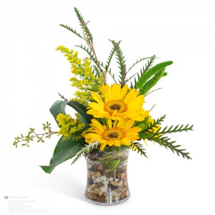 Next Day Delivery Flowers Kannapolis NC Florist in Kannapolis, NC