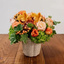 Denver CO Flower Shop - Florist in Denver