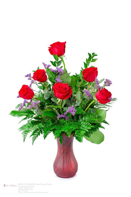 Fayetteville AR Next Day Delivery Flowers Florist in Fayetteville