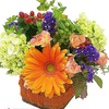 Mesa AZ Same Day Flower Del... - Florist in Mesa, AZ