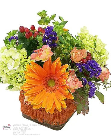 Mesa AZ Same Day Flower Delivery Florist in Mesa, AZ