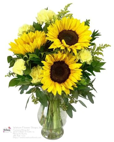 Flower Bouquet Delivery Mesa AZ Florist in Mesa, AZ