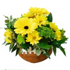 Flower Delivery in Mesa AZ - Florist in Mesa, AZ