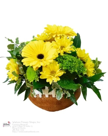 Flower Delivery in Mesa AZ Florist in Mesa, AZ