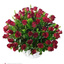 Tempe AZ Same Day Flower De... - Florist in Tempe, AZ