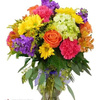 Buy Flowers Gilbert AZ - Florist in Gilbert, AZ