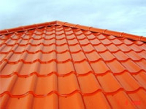 Roof-Painting-Central-Coast-2 Roof Restoration Central Coast