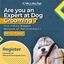 Are you an expert at Dog Gr... - Picture Box