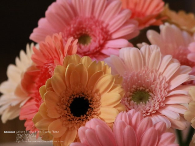 Flower delivery near me Florist in Seattle, WA