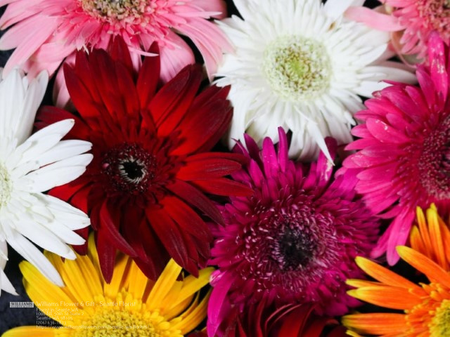 Flower shop near me Florist in Seattle, WA