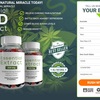 Exactly How To Use Essential CBD Extract Gummies?